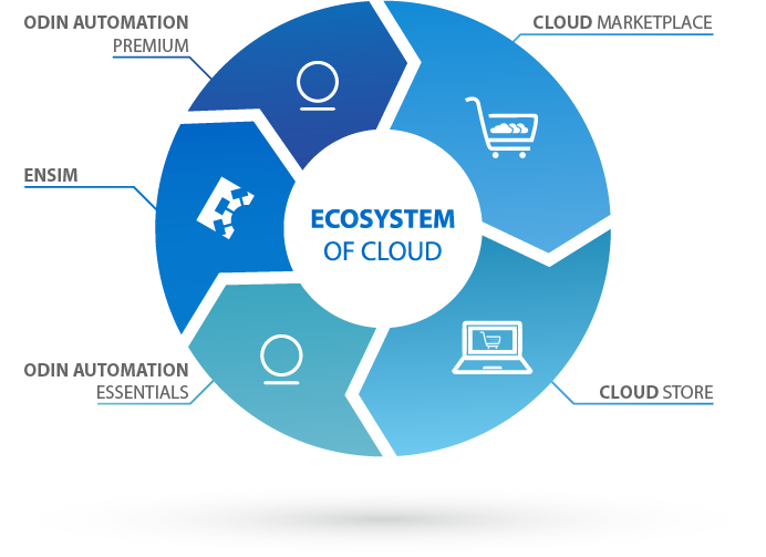 Ecosystem of Cloud